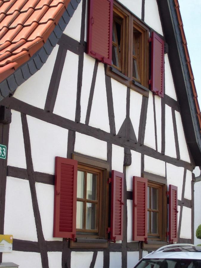 Ferienhaus Pfalzklause Billigheim-Ingenheim Esterno foto